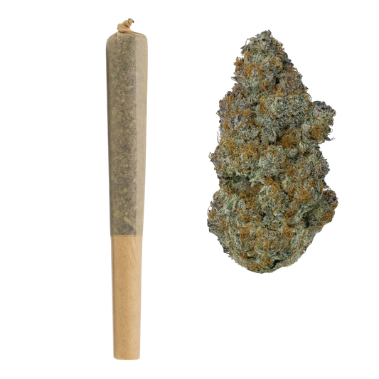 1G THCa Pre Rolls | GMO Cookies : INDICA (31.24%)