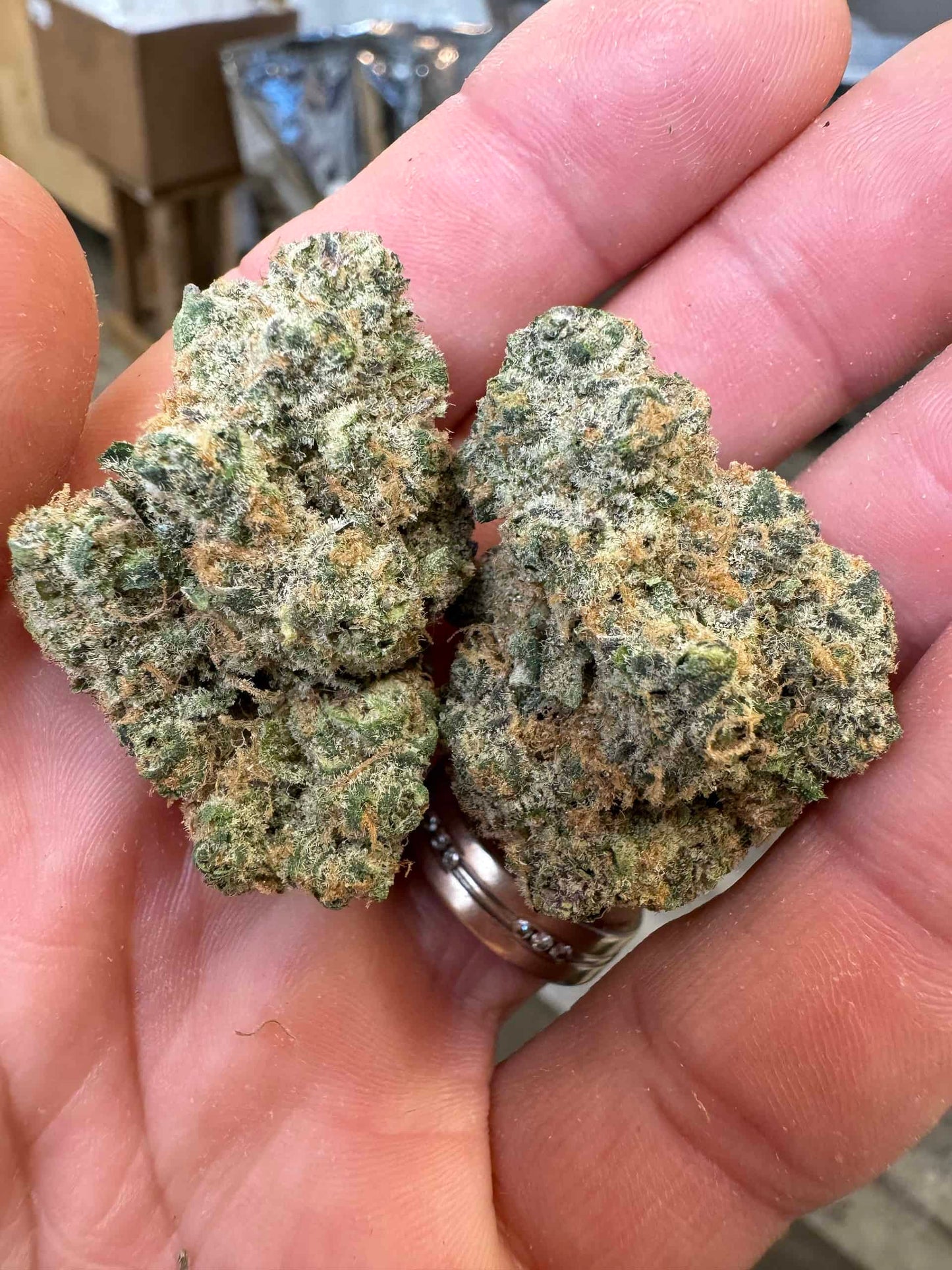 THCa Flower | Garlic Breath : INDICA (38.16%)