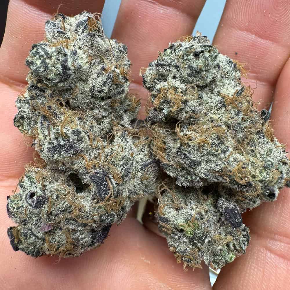 THCa Flower | Purple Voodoo : INDICA (34.37%)