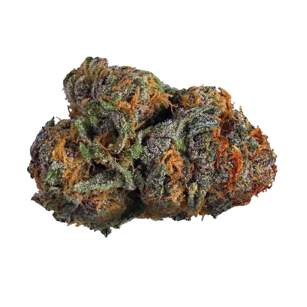 THCa Flower | Purple Voodoo : INDICA (34.37%)