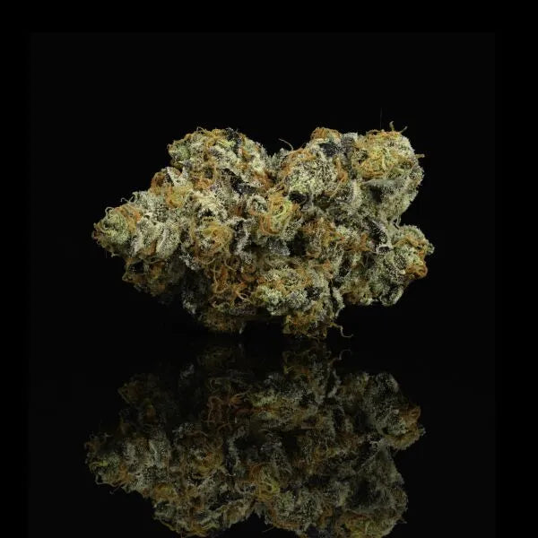 COOKIES | THCa Hemp Flower - CHEETAH PISS: HYBRID (26.45%)